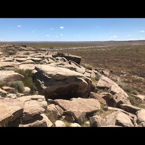 Meet your Posher, Tory